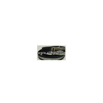 Stingray Men's Belt