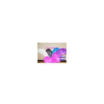 ostrich feather