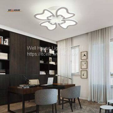 Ceiling Lights For Living Room Bedroom Home Dec Lighting lamparas de techo Modern Led Ceiling Lamp