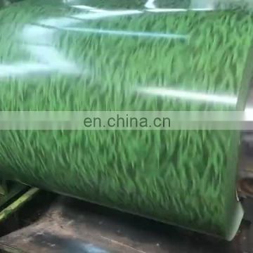 Color Coated Cold Rolled Prepainted Galvanized Steel Coil PPGI