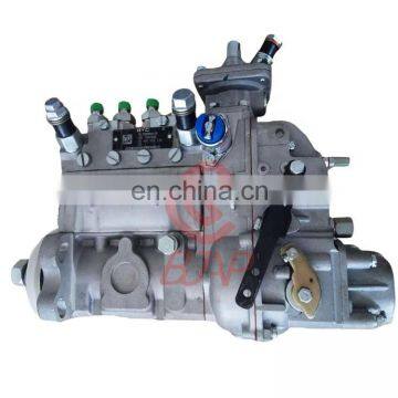 Injection Pump T73208388 T73208387 T73208395 T73208368 T63211934 T63211894A T63211941B