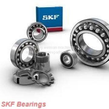 SKF Bearings