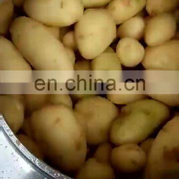 High Speed Commercial Sweet Potato Peeling Washer Machine/ international food machinery vegetable potato peeling machine