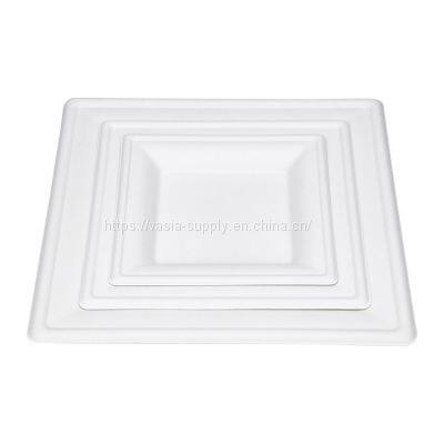 Biodegradable sugarcane pure angular 26 cm x 26 cm white, stable disposable square bagasse plates, suitable as dinner plate, serving plate, grill plate, pasta plate, cakes, cake plate, pizza plate or fruit plate