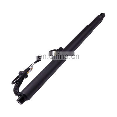 51247318651 Automotive Shock Lift Supports for BMW X6 F16 2015-2019