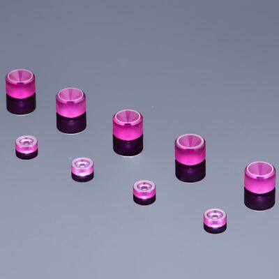 Factory Supply Precision Polished Holed Ruby Micro Hole Bearing