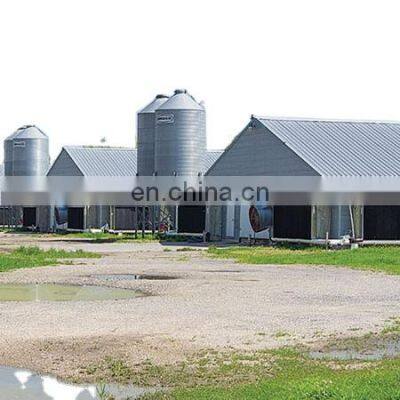 Best Selling Chicken Farm House For 20000 Broiler Meat Chickens For Sale