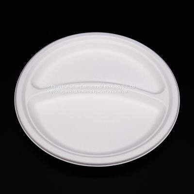 Disposable Biodegradable 9INCH 2C PLATE Take Away Sugarcane photo-3