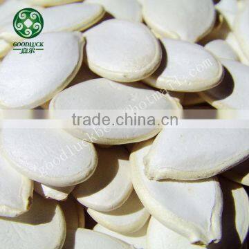 whole sale white pumpkin seed price