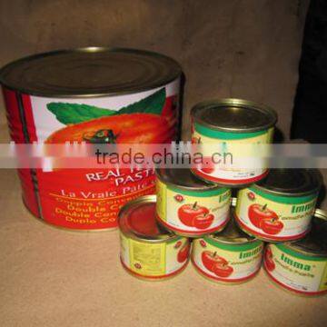 Top Quality Tomato Paste, Ketchup 800gram photo-5