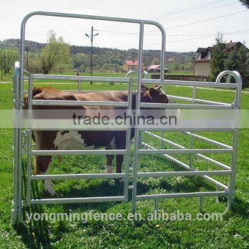 Welded and galvanized rail cattle sheet panel / horse panel / sheep panel / goat panel