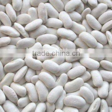 Dried White Kidney Bean