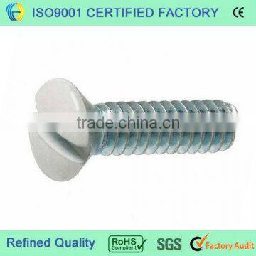 Slotted oval head screw