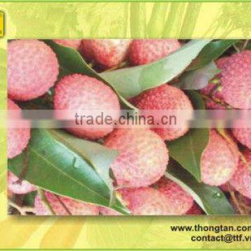 Vietnam canned lychee in heavy syrup