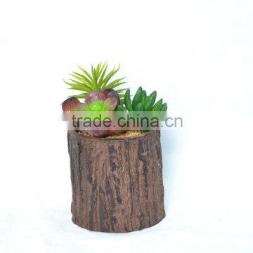 3pcs Mixed Green Artificial Succulent Plant In Brown Cylinder Pot