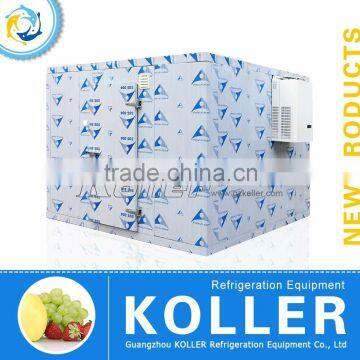 Koller Small Freezer Cold Storage Room with compressor unit for fishing VCR20