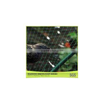 China Exporter Anti Netting Bird