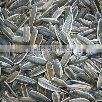 SUNFLOWER SEEDS