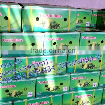 Viet Nam fresh lemon high quality 2015