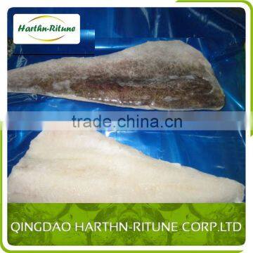 Frozen Saithe /pacific Cod Fillet