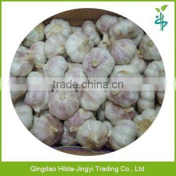 High quality china garlic white natural garlic