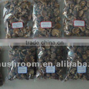 New crop 4-5cm dried smooth shiitake