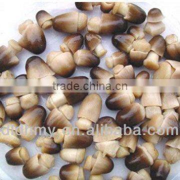 Brined/Salted Straw Mushroom in Drum