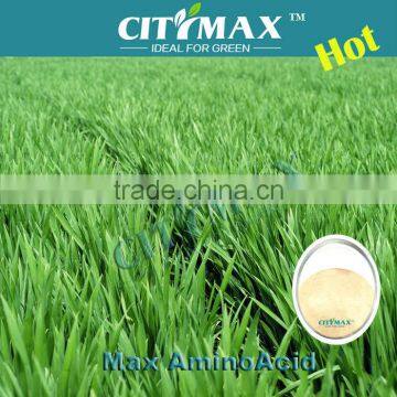 Hot Product!!! Amino Acid Powder Organic Fertilizer