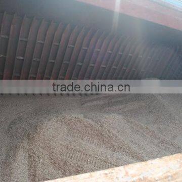 Eucalyptus Wood Chips From Vietnam photo-4