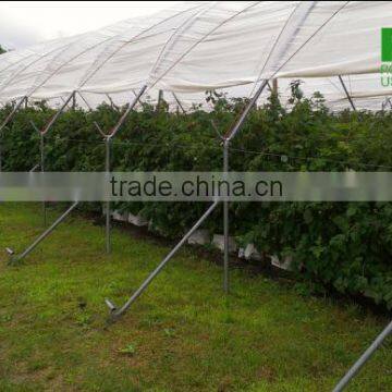 Plastic Tunnel for Strawberries Agriiculture tunnel greenhouse