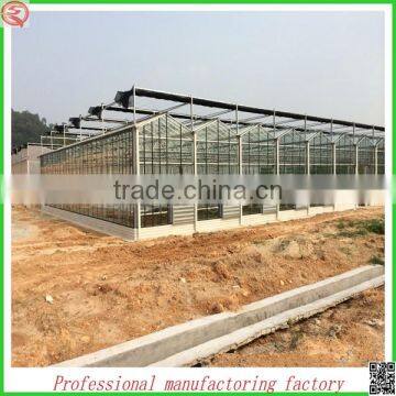 Hot sale 10.8m multi-span Venlo glass greenhouse grow tent for agriculture