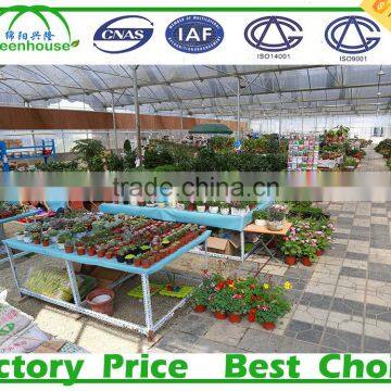 Backyard Glass Greenhouse Sale photo-3