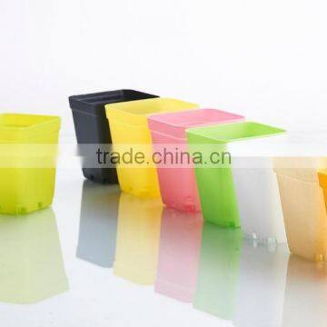 Plastic Colorful Small Square Flower Pots Without Pallet -3 Inch