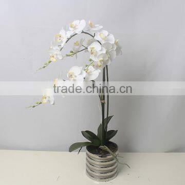 Realtouch orchid artificial flower arragements with flowers pots