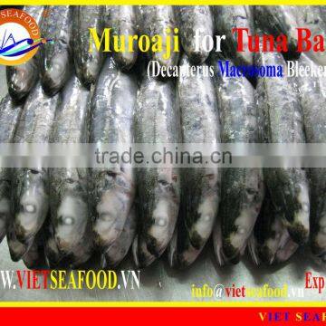 FROZEN MUROAJI FOR TUNA BAIT photo-3
