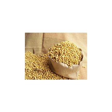 Soybean