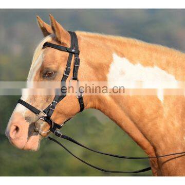 Horse bridle halter bridle