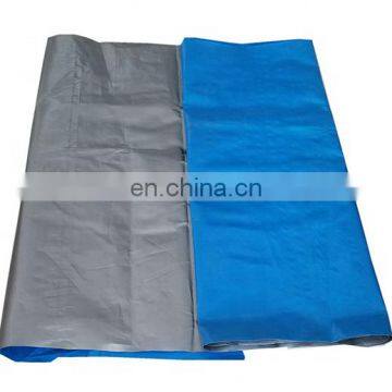 PE /PP tarpaulin /Canvas sheet/stripe tarpaulin with UV protection Waterproof Plastic