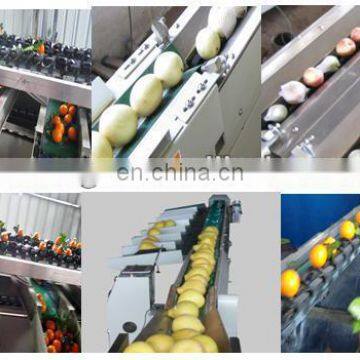 Мойка и сортировочная машина для свежих овощей и фруктов по заводской цене photo-3