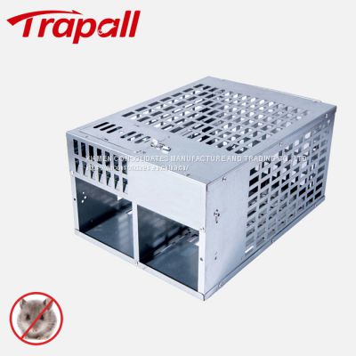 Humane Metal Mesh Rat Rodent Control Catcher Mouse Cage Trap