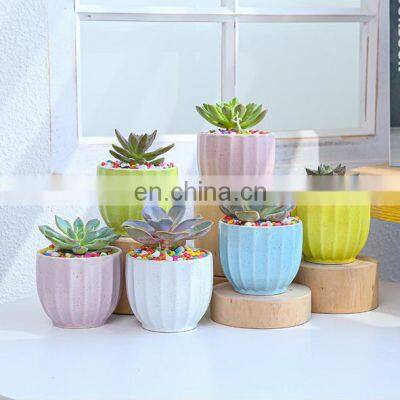 Amazon Garden Creative Succulent Flower Pot Macaron Potted Combination Ceramic Color Flower Pot