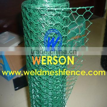 Chicken Wire Netting