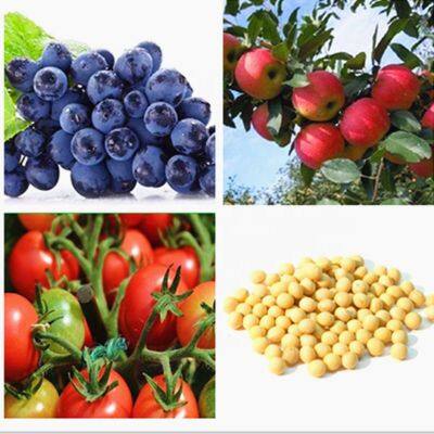 Pesticide Naa 98%TC 1-Naphthylacetic Acid It Can Induce the Formation of Adventitious Roots photo-3