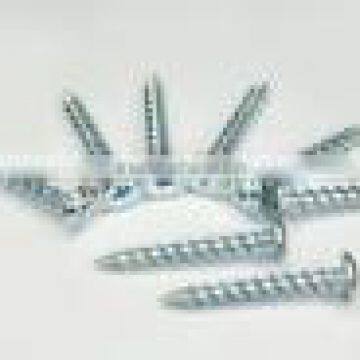 Pan Head Self Tapping Screw White Zinc Plated in Best-selling photo-4