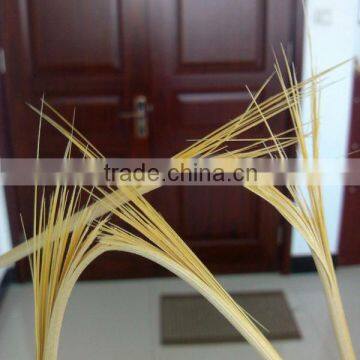 Zhi Tong Factory Supply Food Grade Round Bamboo Skewers photo-4