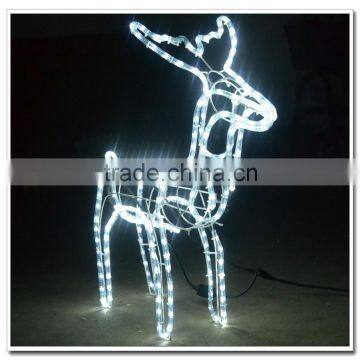 The 2013 Motor control outdoor animated rope lights