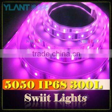 ShenZhen Factory Direct Sale Waterproof 5050 LED Strip Car CE & RoHs Approved