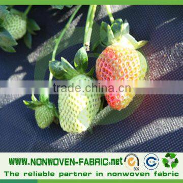 TNT Spunbond Nonwoven Fabric for Agricultural Freeze Protection,weed Control photo-3