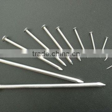 different sizes of electro galvanized common nail producer