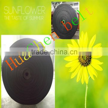 Famous Brand sand conveyor system layered nylons cheap price belt conveyor